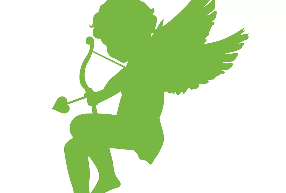 Head lice happen in Charleston in February